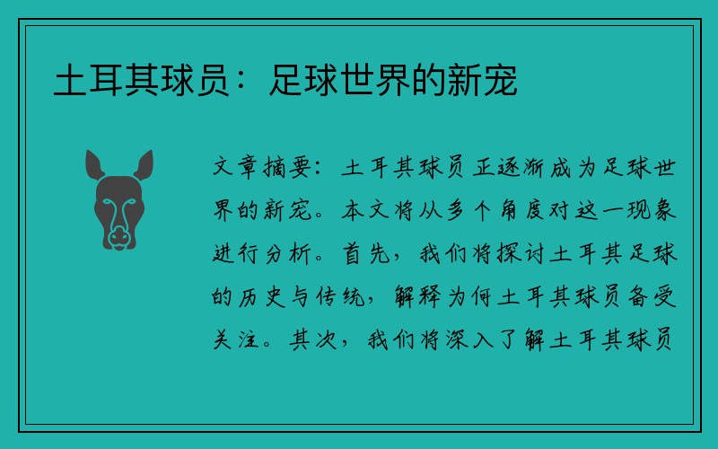土耳其球员：足球世界的新宠