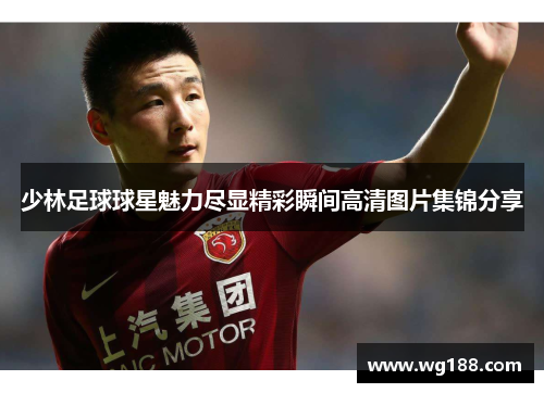 少林足球球星魅力尽显精彩瞬间高清图片集锦分享